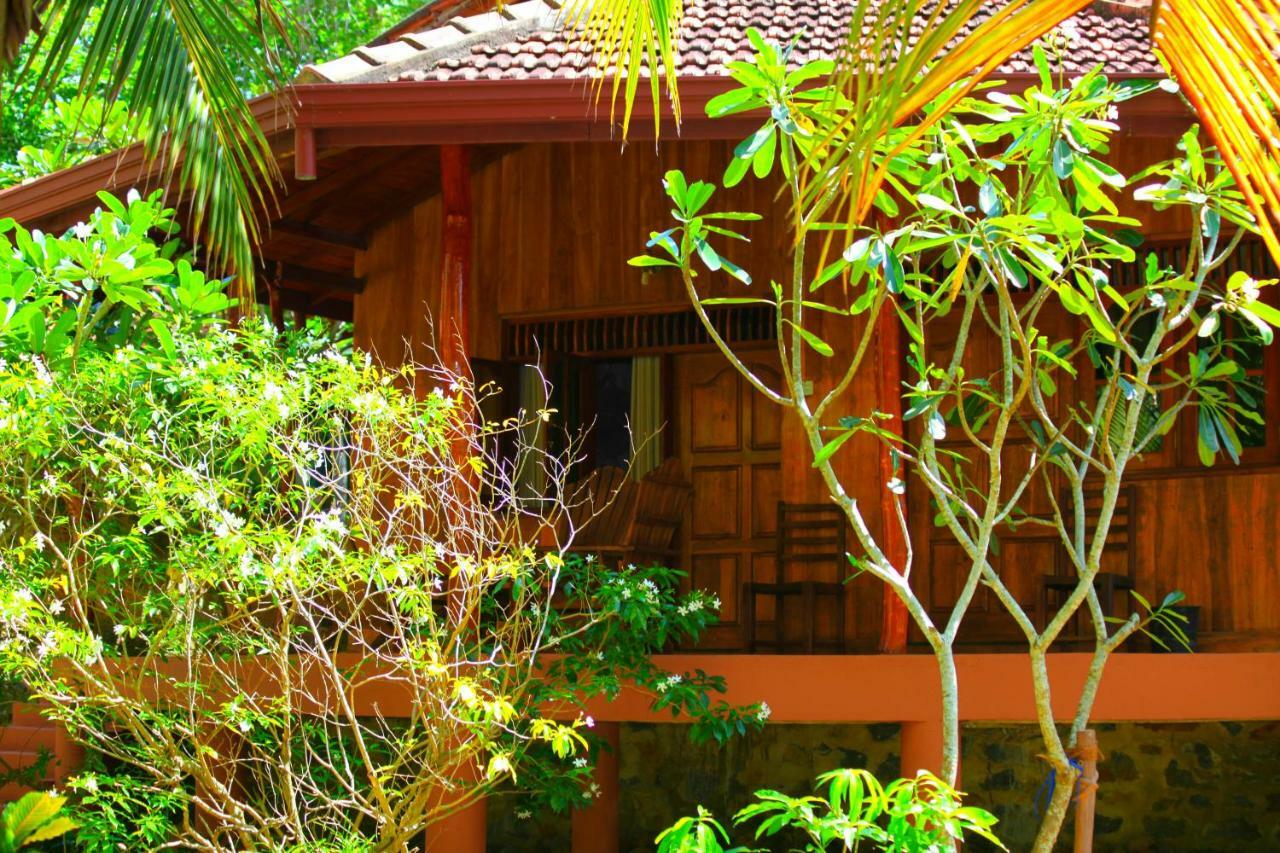 Green Garden Cabanas تانجالي المظهر الخارجي الصورة