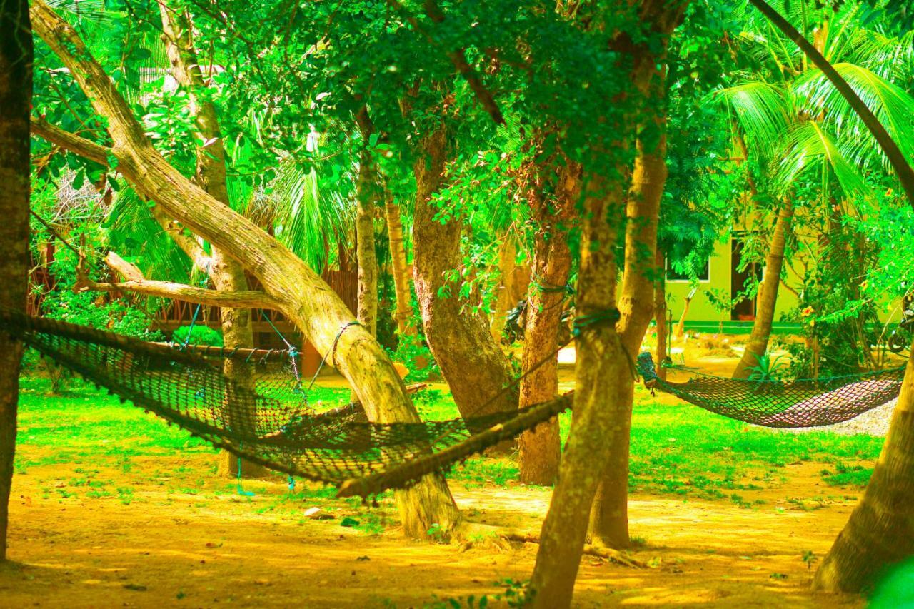 Green Garden Cabanas تانجالي المظهر الخارجي الصورة
