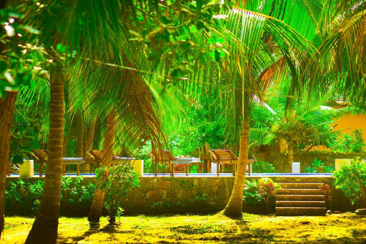 Green Garden Cabanas تانجالي المظهر الخارجي الصورة